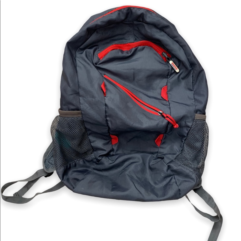 Costco Backpack